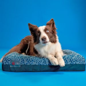 Cama Euro Pet